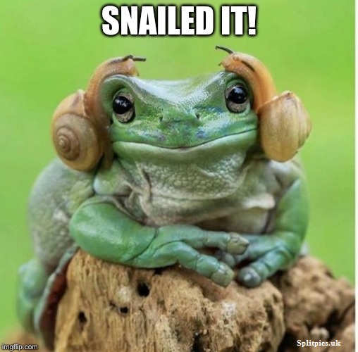 Frog using snails as earbuds
