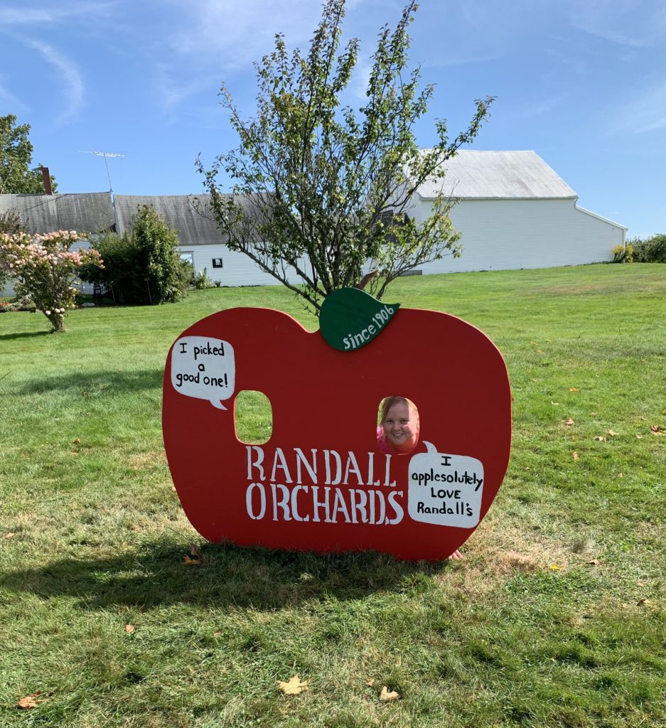 Plywood cutout of a red apple in front of a large white barn on a bluebird day in Maine