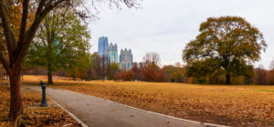 Autumn at Piedmont Park with skyline in background